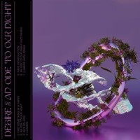 Rave Introduction_Desire
