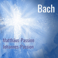J.S. Bach: Lobet Gott in seinen Reichen, BWV 11 (Ascension Oratorio) - 7b. Rezitativ: "Ach ja! So komme bald zurück"_Ralf Popken,Orchestra of the Age of Enlightenment,Gustav Leonhardt