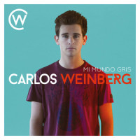 Mi Mundo Gris_Carlos Weinberg
