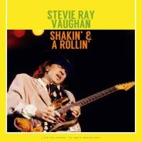 Mary Had A Little Lamb_Stevie Ray Vaughan