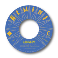 Soul Groove_Skinshape,Anina,William Dorey