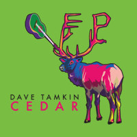 Cedar_Dave Tamkin