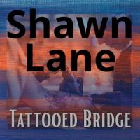Damaged Mass_Shawn Lane