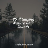 Thunder Rain_Sleepy Times,Sons da natureza HD,Tranquil Music Sound of Nature