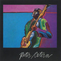 Practical Man_Peter Cetera