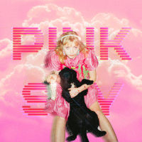 pink sky(endless summer)_Abbie Ozard