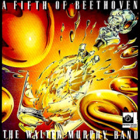A Fifth of Beethoven_Walter Murphy