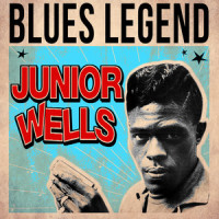 I'll Get You, Too_Junior Wells