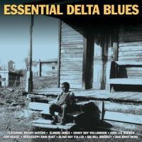 Baby Please Don't Go_Big Joe Williams