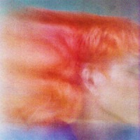 Let's Hold Hands_Dreamer Boy,Melanie Faye
