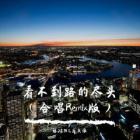 看不到路的尽头_洛天依,林鸿阳