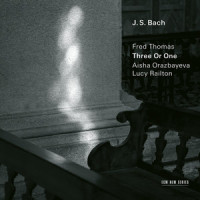 J.S. Bach: Orgelbüchlein, BWV 599-644 - In dulci jubilo, BWV 608 (Arr. Thomas)_Fred Thomas,Aisha Orazbayeva,Lucy Railton