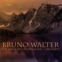 I. Allegro (cadenza by Reinecke)_Wiener Philharmoniker,Bruno Walter