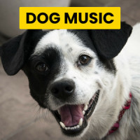 After a Long Walk_Sleepy Dogs,Cat Music,Dog Music