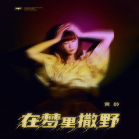 在梦里撒野_黄龄