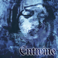 In the Frame of Wilderness_Entwine