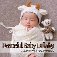 Brahms Lullaby, Op. 9, No. 4_Sleeping Baby Songs,Sleeping Baby Aid,Sleep Baby Sleep,Johannes Brahms