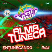 Pepas_Marimba Orquesta Alma Tuneca,Farruko,Jose Carlos Jr. Garcia,Axel Rafael Quezada Fulgencio,Keriel Quiroz,Víctor Alonso Cárdenas,Andy Bauza,Juan Manuel Gomez Roa,Franklin Jovani Martinez,Marcos Perez