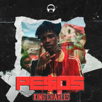 Todos Usan Crocs_King Charles