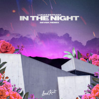 In the Night_Lucas Estrada,Sevek,Dominik Feelsman,Jordan Shaw,Punctual,Rene Miller