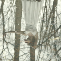 In Your Arms_Kate Tucker