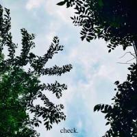 Check (feat. Jess Delgado)_Railroad Rats,Jess Delgado