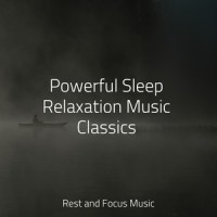 Waves of Nature_Chillout Lounge,Study Power,Spa