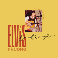 Samba Mambo_Elvis Phương
