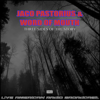 The Chicken_Jaco Pastorius,Word of Mouth