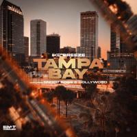 Tampa Bay - Radio Edit(feat. Snoop Dogg & Hollywood)_Ike Breeze,Snoop Dogg,Hollywood