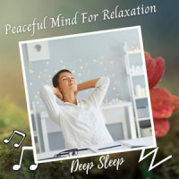 Rock Me To Sleep_Sleeping Music,Deep Sleep,Deep Sleep Meditation