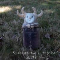 My Voice is a Little Horse_MJ Lenderman,Wednesday