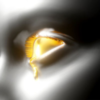 Burning_Gorgon City,EVAN GIIA