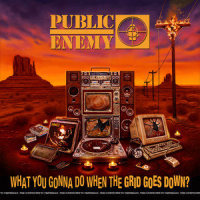 Smash The Crowd_Public Enemy,Ice-T,PMD