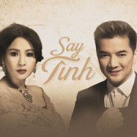 Tình Yêu Còn Đâu_Đàm Vĩnh Hưng,Thanh Lam,NS Records
