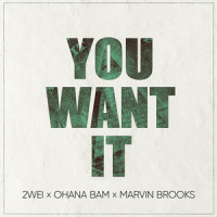 You Want It_2WEI,Ohana Bam,Marvin Brooks,Christian Vorländer,Simon Heeger,Brenton Smith,Jesse Safferling