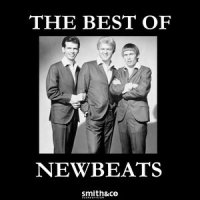 Better watch your step_The Newbeats
