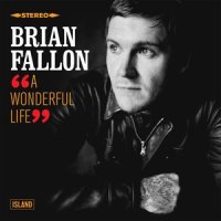 A Wonderful Life_Brian Fallon