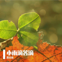 小雨滴答滴_洛天依