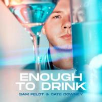 Enough To Drink_Sam Feldt