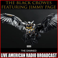 Gone_The Black Crowes,Jimmy Page