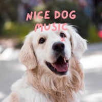 Dog Treats_Piano Peace,Pet Music Therapy,Pets Love Music