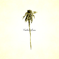 Big Bird In A Small Cage_Patrick Watson