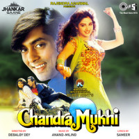 Tere Dil Ki Baat Main Jaanu_Alka Yagnik,Kumar Sanu