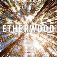 Unfolding_Etherwood,Songs In The Key Of Knife,Laurelle Robichaud