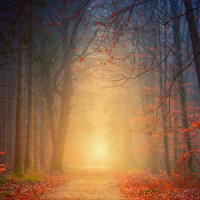 Sound of Serenity_Rain for Deep Sleep,Ayurveda,Sounds of Nature White Noise for Mindfulness Meditation and Relaxation
