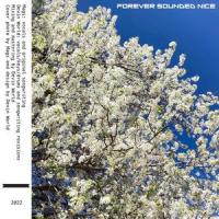 Flowers in the Spring_Devin World,Mags
