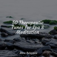 Soothing Sounds_Egyptian Meditation Temple,Spa,Musica Para Dormir y Sonidos de la Naturaleza
