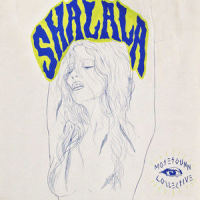 Shalala_Moses Gunn Collective