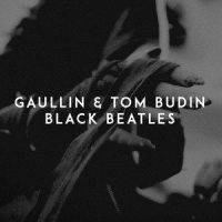 Black Beatles_Gaullin,Tom Budin,AAQUIL IBEN SHAMON BROWN,Khalif Malik Ibn Shaman Brown,Michael Len Williams II,Stephen Robert Hybicki